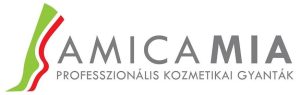Amica logo hungary