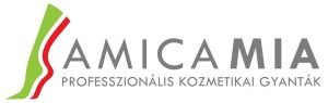 Amica logo hungary